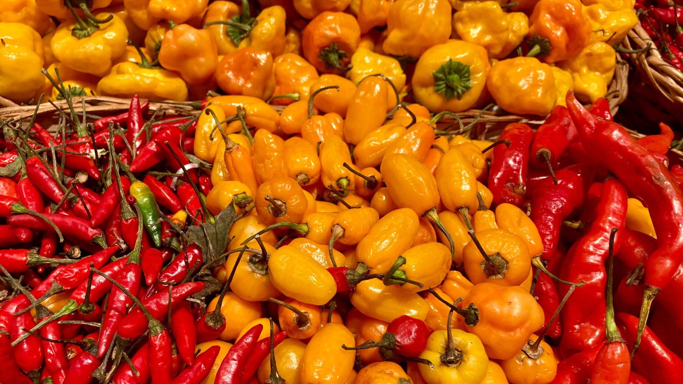 Different peppers and chillies Red and yellow peppers and chillies