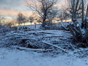 A stack of wood covered in snow