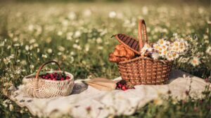 Blanket on a meadow, picnic basket