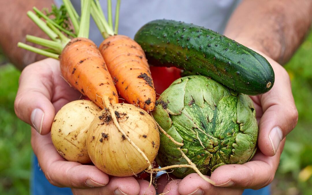 July Garden Tasks: 17 Jobs for a Healthy Summer Harvest