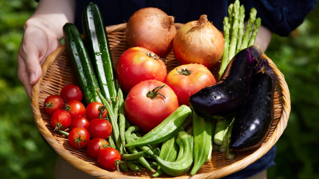 Basket with freshly harvested tomatoes, eggplants, apples, onions, okras and zucchini