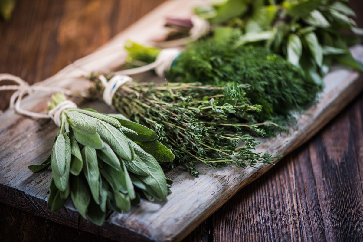 Herbs Bundles of herbs, drying on a board