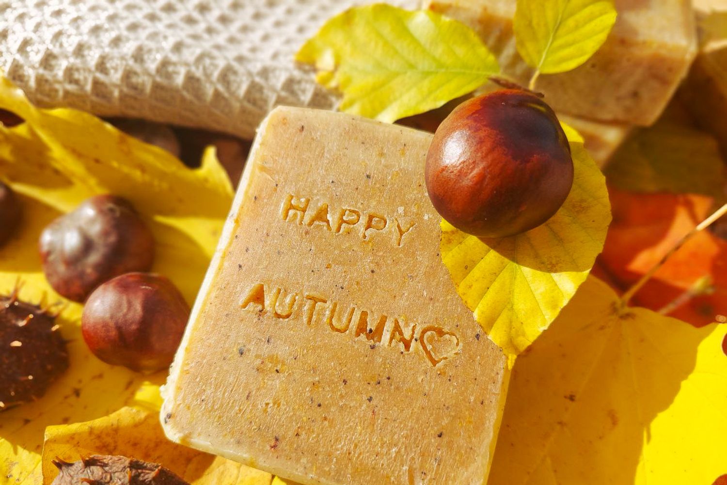 Homemade chestnut soap with chestnuts and leaves